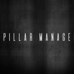 two pillar management